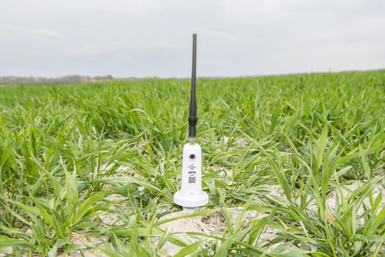 What Is the Best Soil Moisture Sensor?