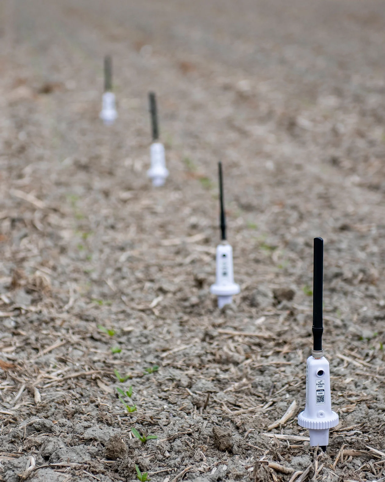 The Ultimate Guide to Precision Farming 7 DSC3302