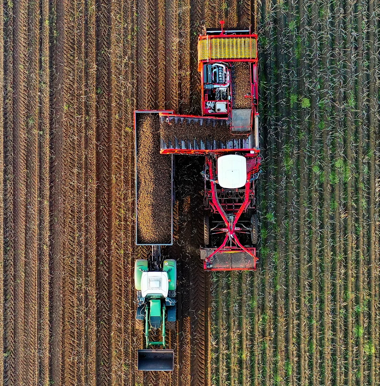 Home - Pinpoint Accurate Farming 36 farming