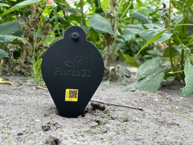 How to reactivate your FS11 sensors