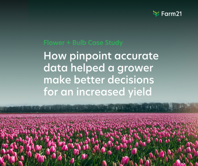 Free Flower + Bulb Case Study 8 Precision farming for flowers and bulbs