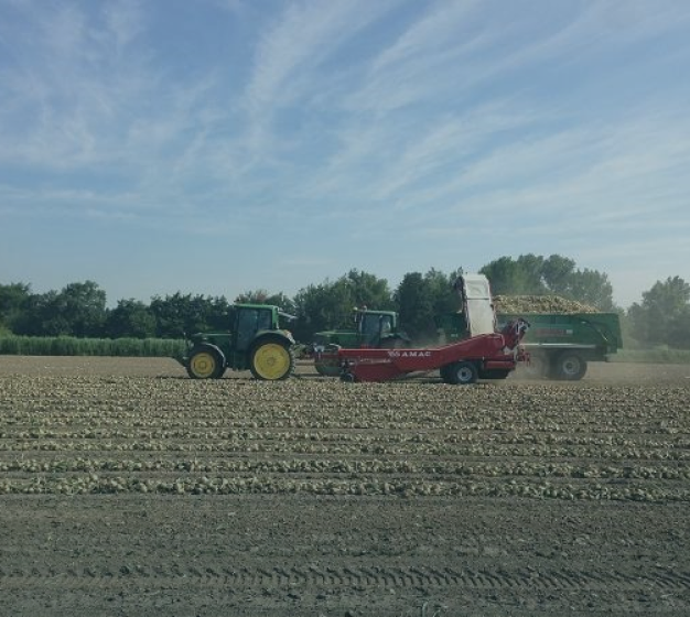 Careers - Join Farm21's team 8 bene1