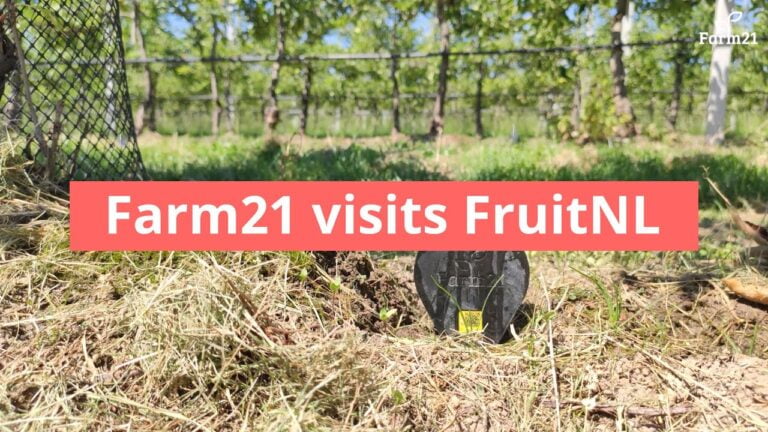 Farm21 & FruitNL case study
