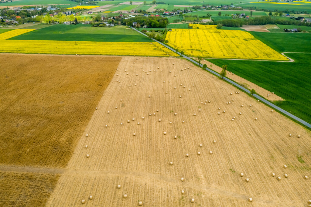 Données satellite - tout ce que tu dois savoir sur la nouvelle fonctionnalité de Farm21 1 données satellite