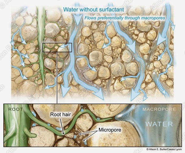 Bodenwasserfluss