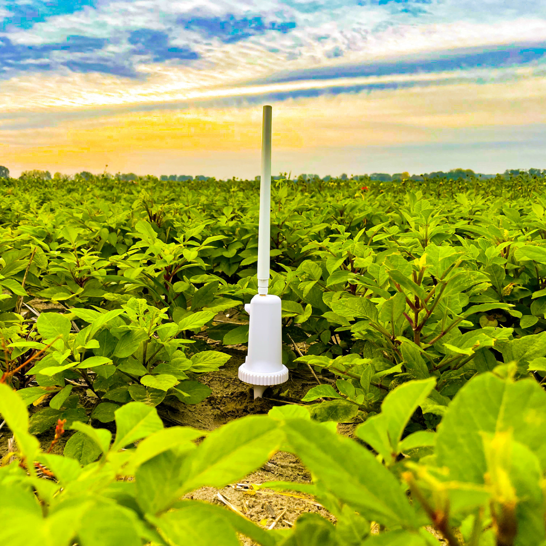 Mesurer l'humidité du sol et optimiser l'irrigation - Capteurs Agralis