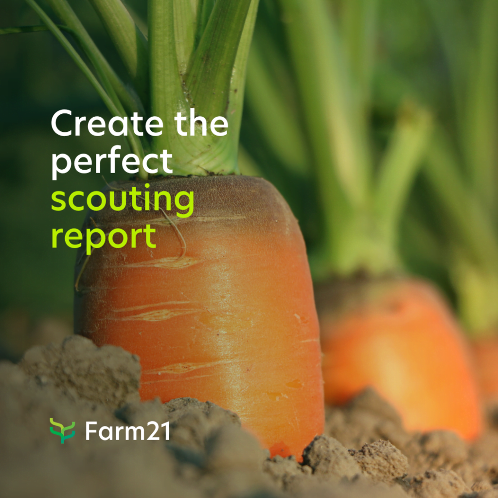 Cómo crear informes de ojeadores perfectos en tres sencillos pasos 7 Copia de Visto en las noticias