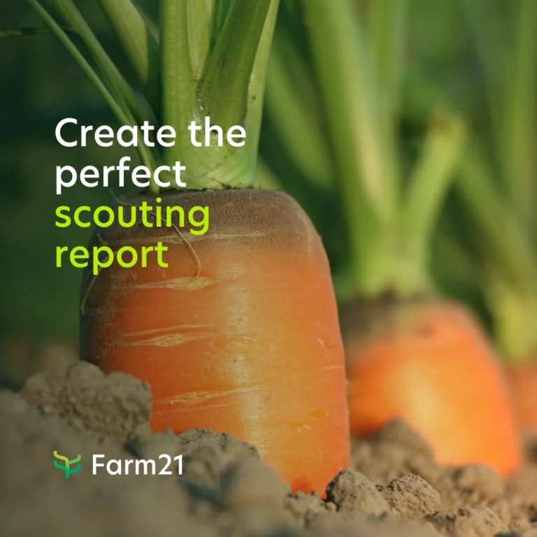 How to create perfect scouting reports in three easy steps 