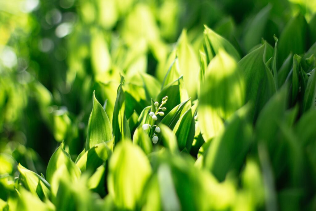 How to create perfect scouting reports in three easy steps 1 valeria bold 6RgVJNopXt4 unsplash min