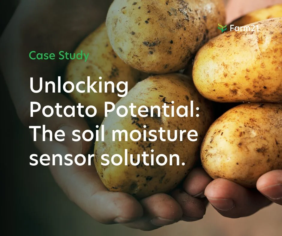 How Soil Moisture Probes are Changing the Game for Vegetable Growers 1 Copy of Potato use case study 2