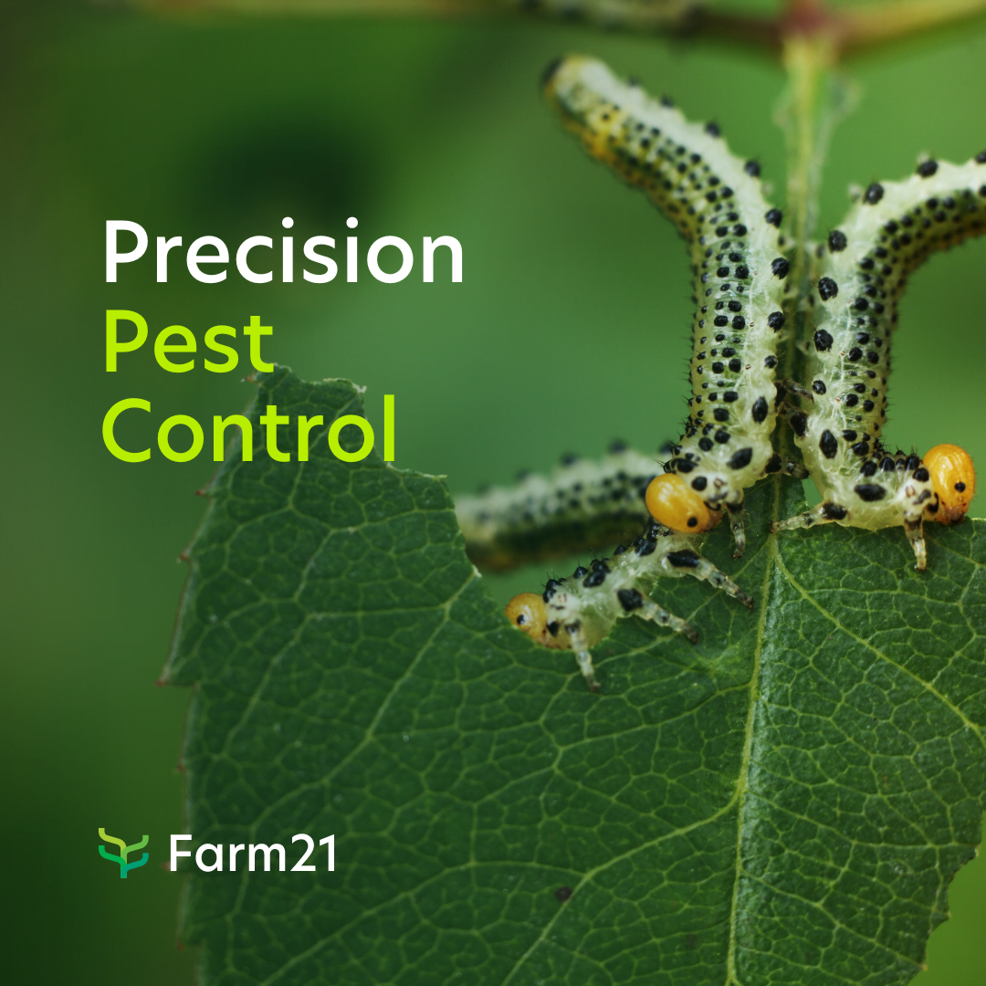 Efficient Precision Pest Control Four benefits of Farm21
