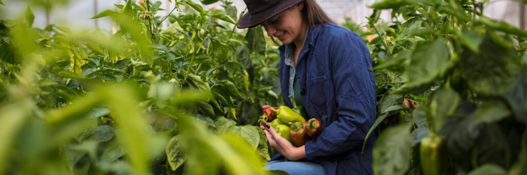 Unlocking the Potential of Biostimulants in Agriculture through Data-Driven Insights 1 Biostimulants in agriculture