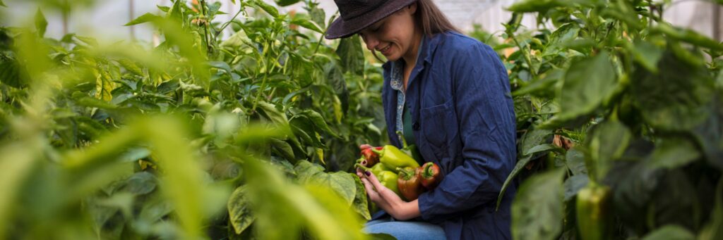 Bioestimulantes na agricultura