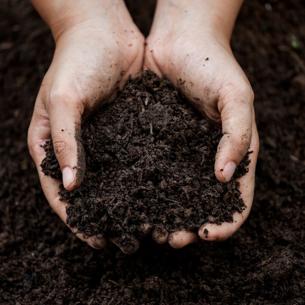 Unlocking the Potential of Biostimulants in Agriculture through Data-Driven Insights 6 Blog SEO Cover Images 5