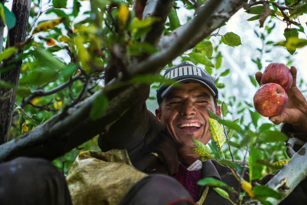 Unlocking the Potential of Biostimulants in Agriculture through Data-Driven Insights 3 pexels nishant aneja 3019836 1