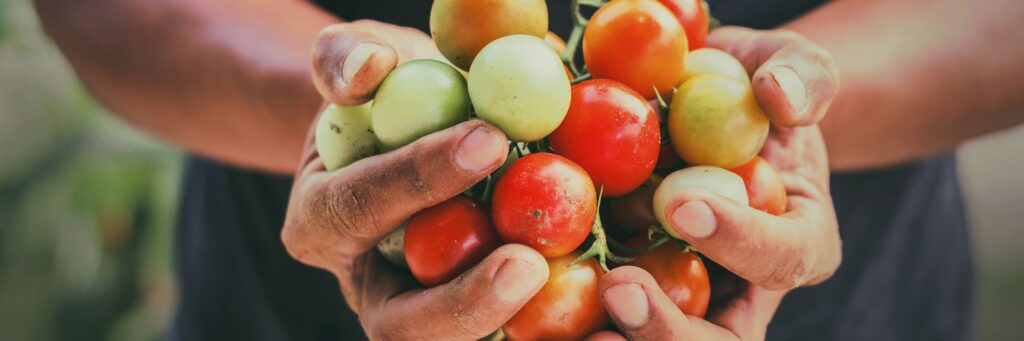 Une agriculture équilibrée 