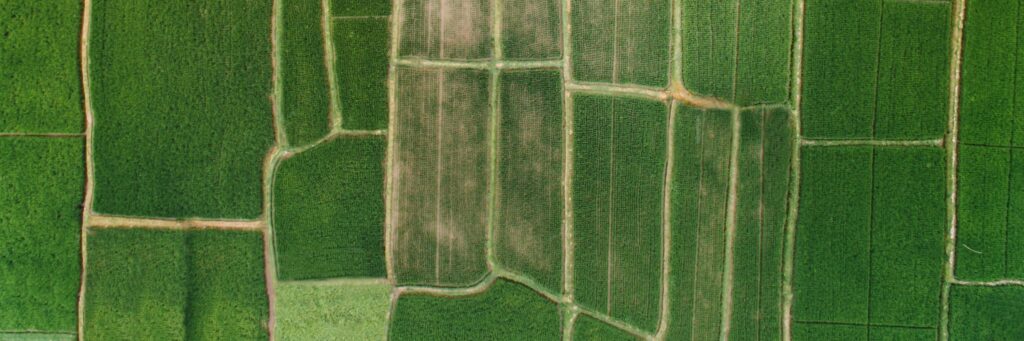 Los datos por satélite en la agricultura