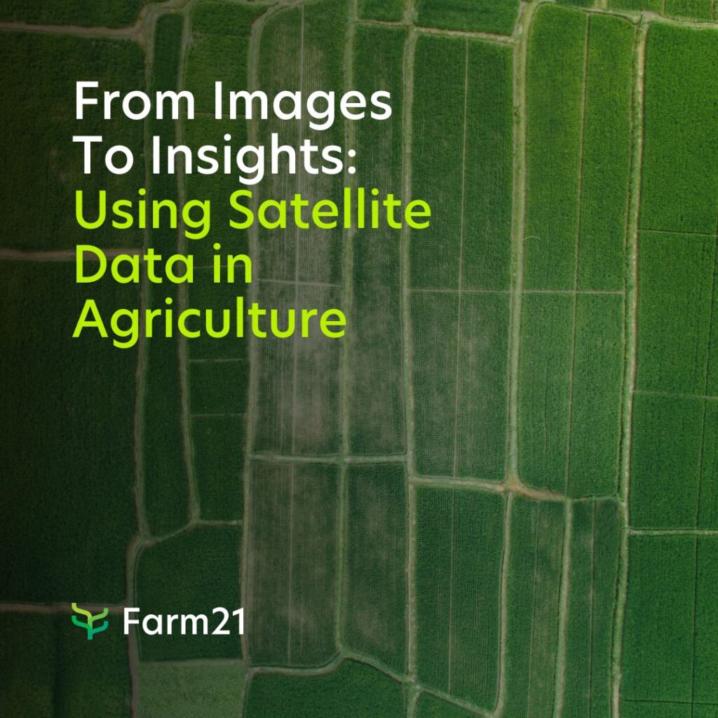 Les données satellitaires dans l'agriculture : Transformer les images en informations précieuses 3 Blog SEO Cover Images 10