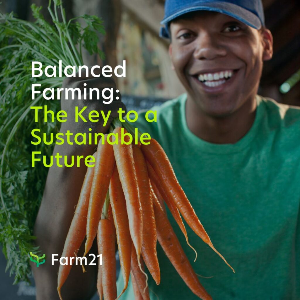 L'agriculture équilibrée : Nourrir le monde et préserver la planète 4 Images de couverture pour le référencement des blogs 6