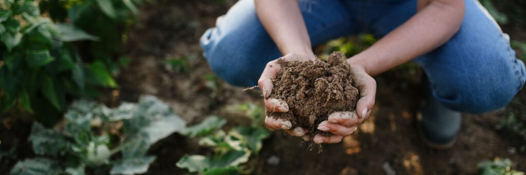 The True Value of Better Farming Insights: How to Set Yourself Up for Success 8 Better Farming Insights