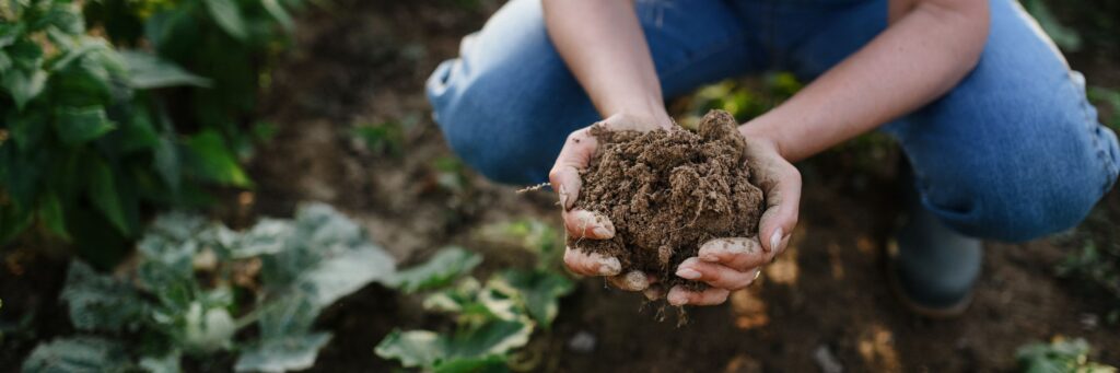 Melhores conhecimentos sobre agricultura 